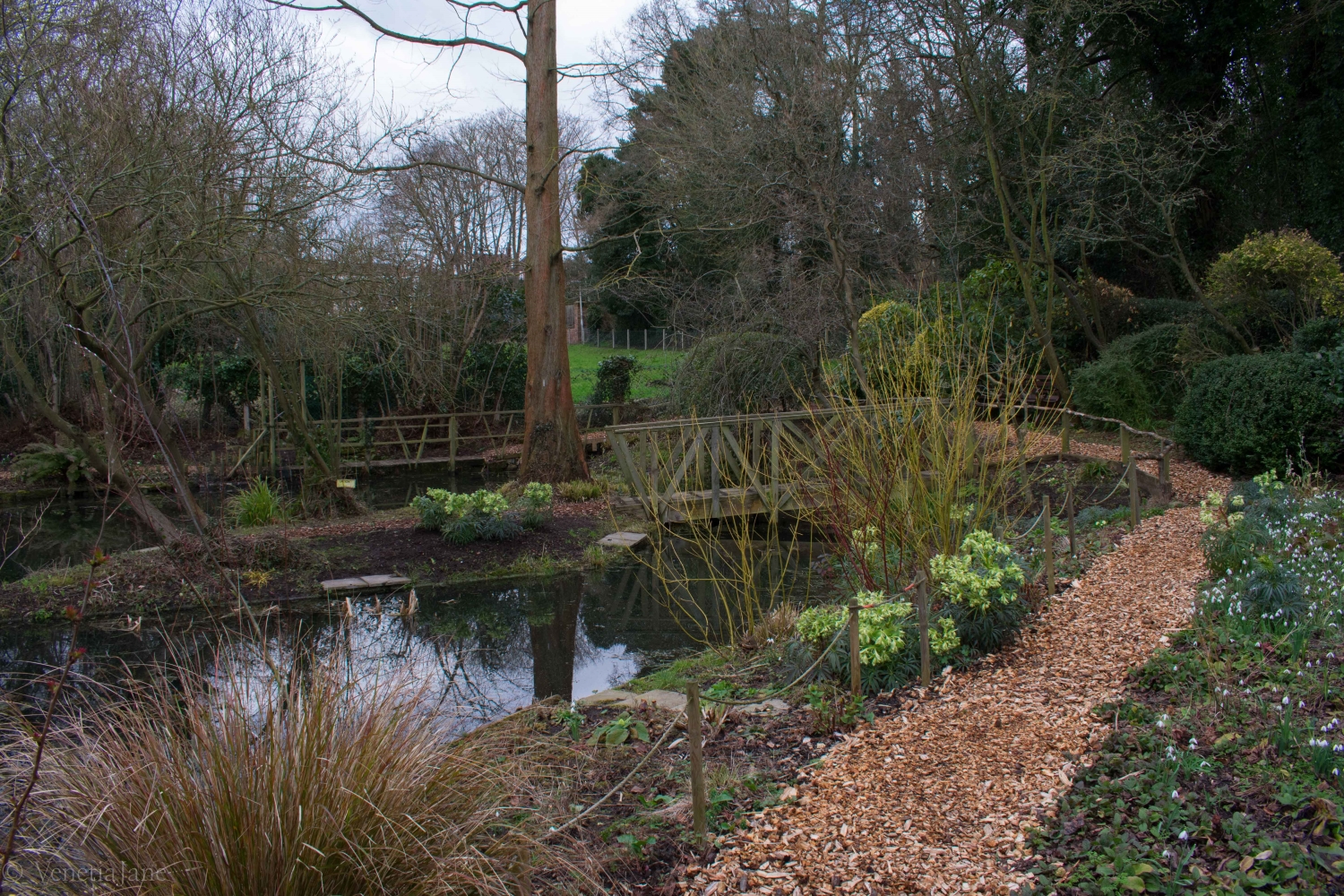 King's Arms Garden, Ampthill, Bedfordshire, MK45 2PP National Garden